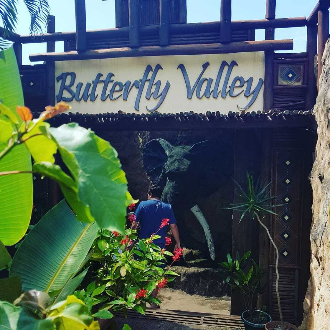 The 20 best things to do in Margate with your family The 20 best things to do in Margate with your family