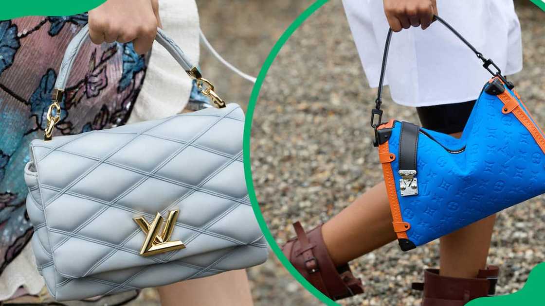 Louis Vuitton bags Louis Vuitton bags