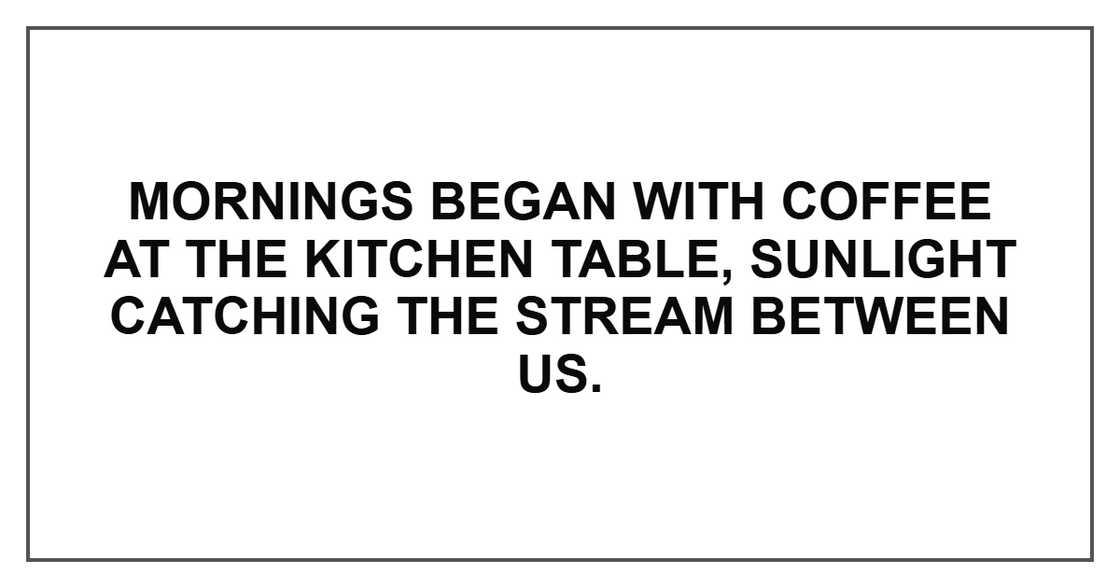 Mornings began with coffee at the kitchen table, sunlight catching the stream between us.