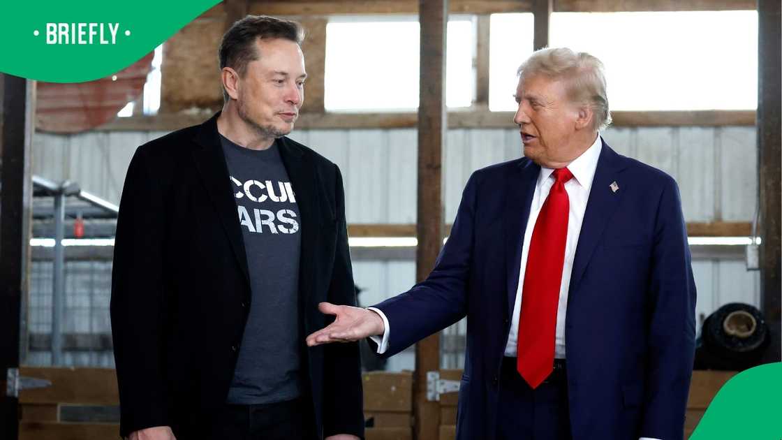 A video of Elon Musk and Donald Trump dancing goes viral.