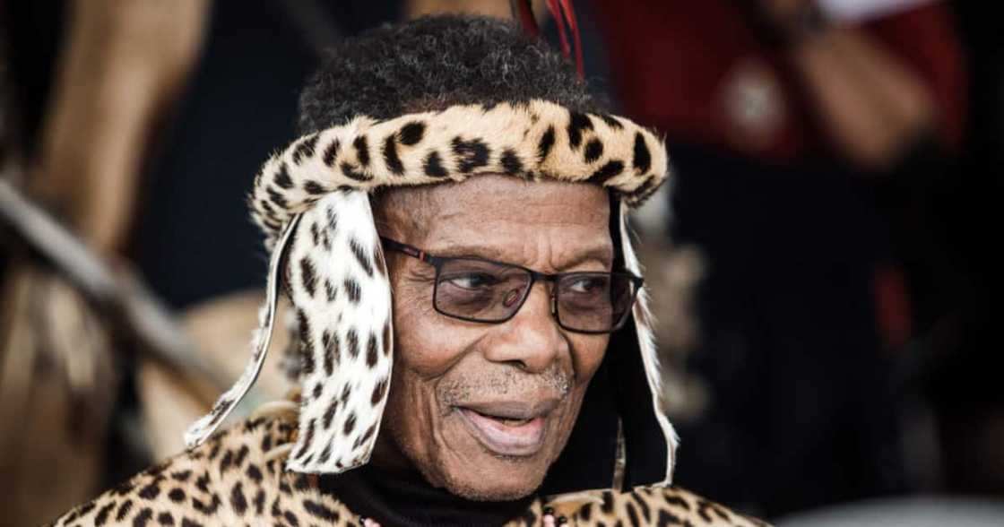 Prince Mangosuthu Buthelezi, Inkatha Freedom Party, IFP SAPS Case, Fake Video, Facebook, Unrest, Ulundi, Phoenix, Violence, Politician, Justice system