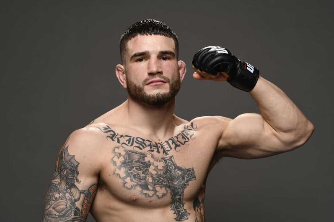 Undefeated UFC fighters Undefeated UFC fighters