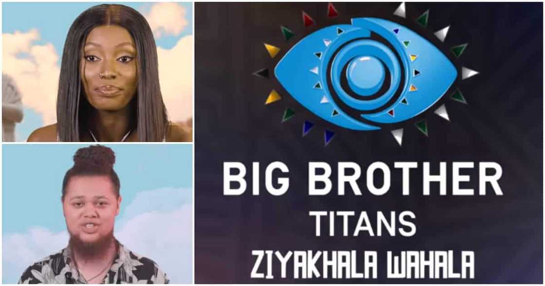 Big Brother Titans.