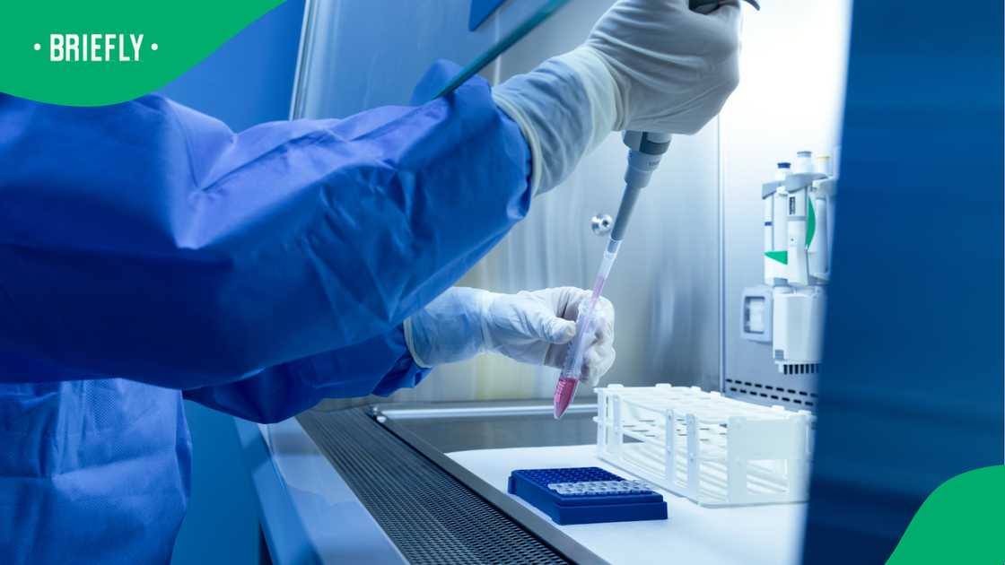 WHO says Russia plague risk low after Siberia lab technician death WHO says Russia plague risk low after Siberia lab technician death