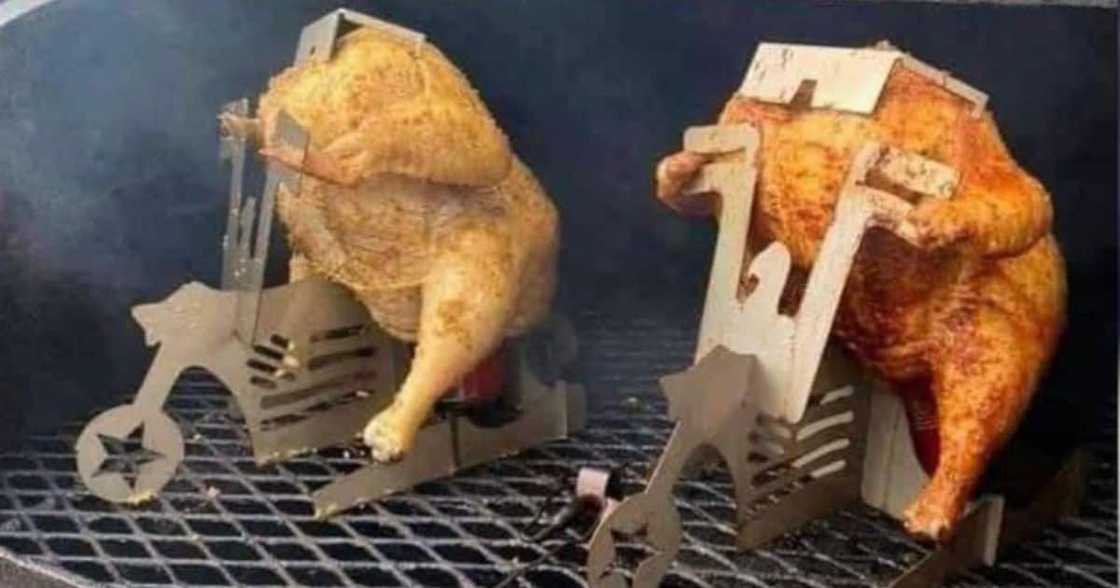 Nandos, Chicken, Response, Mzansi Nandos, Chicken, Response, Mzansi