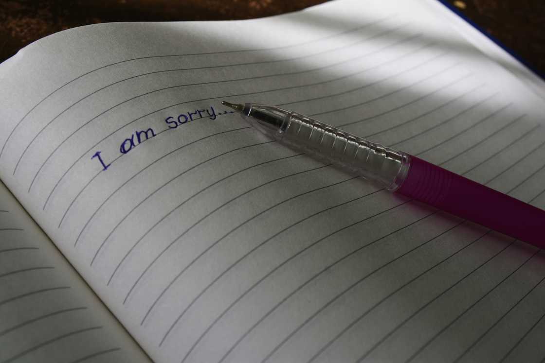 An open notebook with lined pages shows the handwritten words “I am sorry.” An open notebook with lined pages shows the handwritten words “I am sorry.”