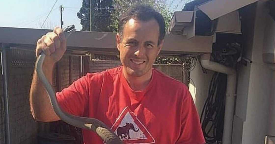 deadly snakes, venomous snales, nick evans, snake rescuer, durban, westville deadly snakes, venomous snales, nick evans, snake rescuer, durban, westville