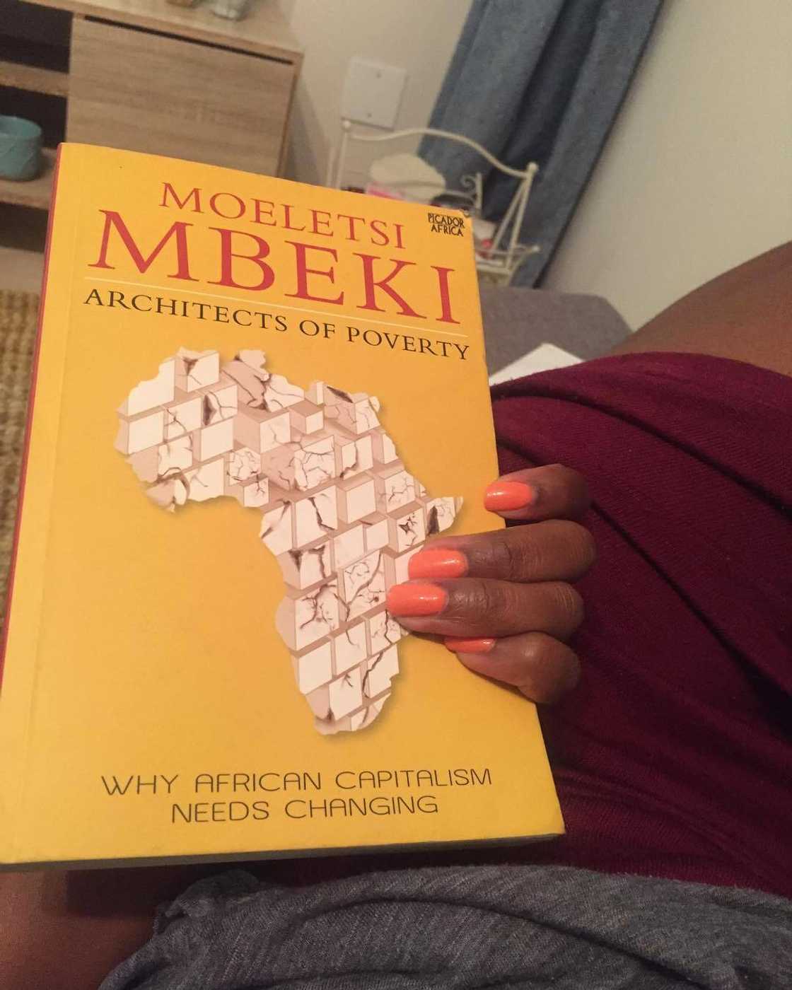 Moeletsi Mbeki books