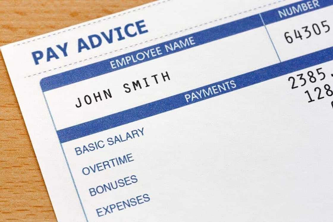 Free South African payslip template doc Free South African payslip template doc