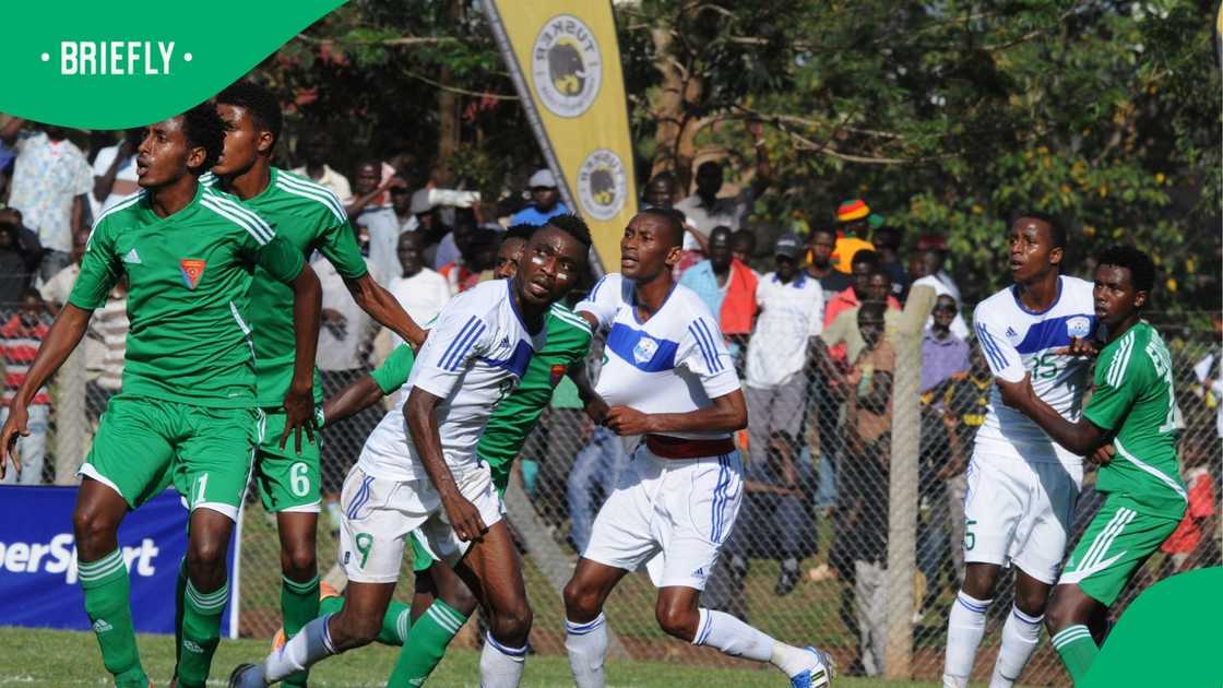 Eritrea, AFCON, South Africa, Estwani.