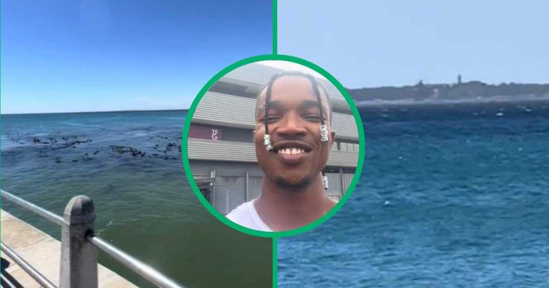 TikTok vide shows suppoerd giants in Cape Town