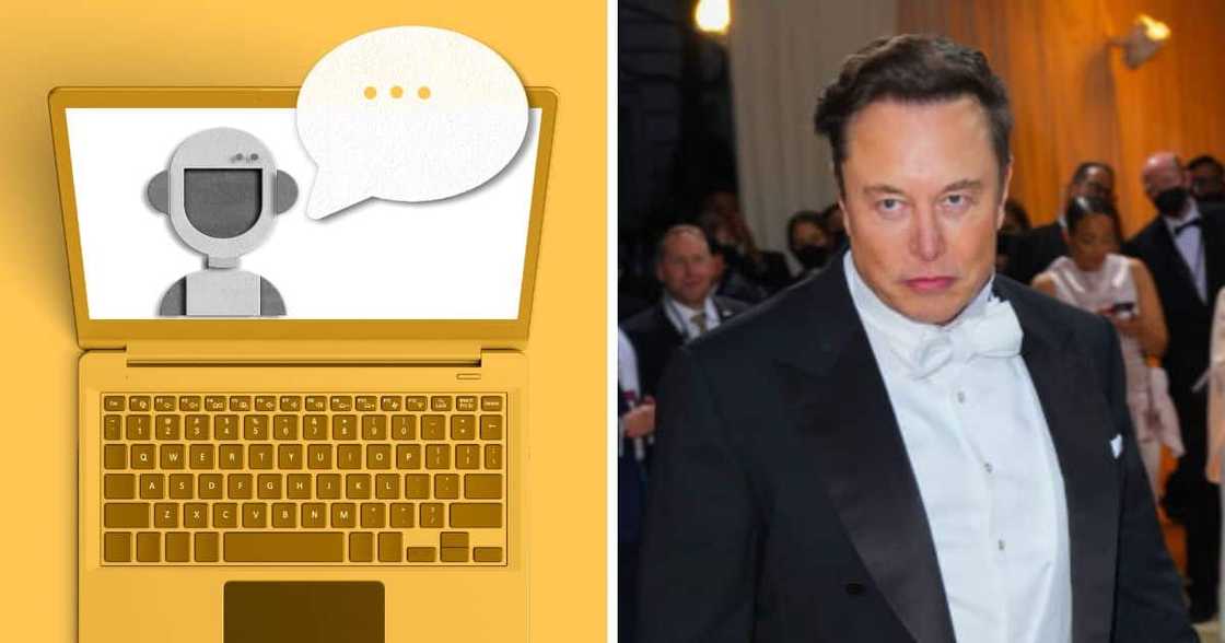 Explained: What are Twitter bots and why is it delaying the Elon Musk's deal Explained: What are Twitter bots and why is it delaying the Elon Musk's deal