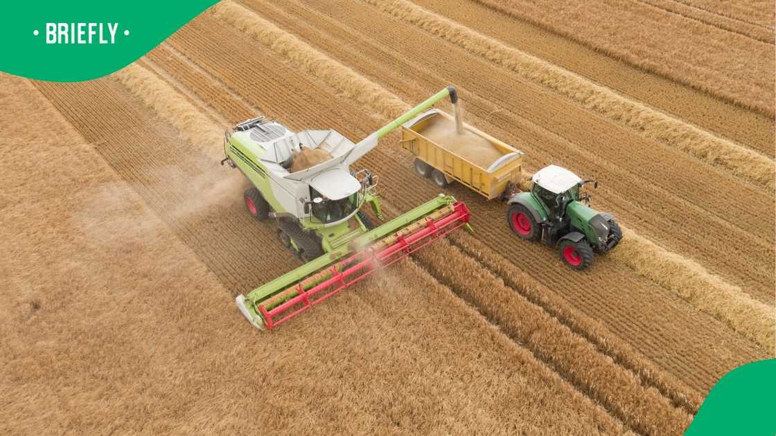 Adapting to climate change, securing SA’s food future Adapting to climate change, securing SA’s food future