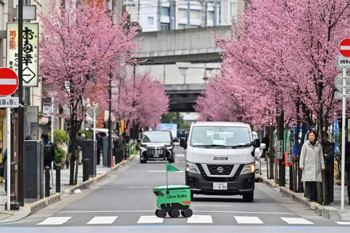 The robots calculate routes on their own, using sensors to avoid pedestrians and other obstacles The robots calculate routes on their own, using sensors to avoid pedestrians and other obstacles