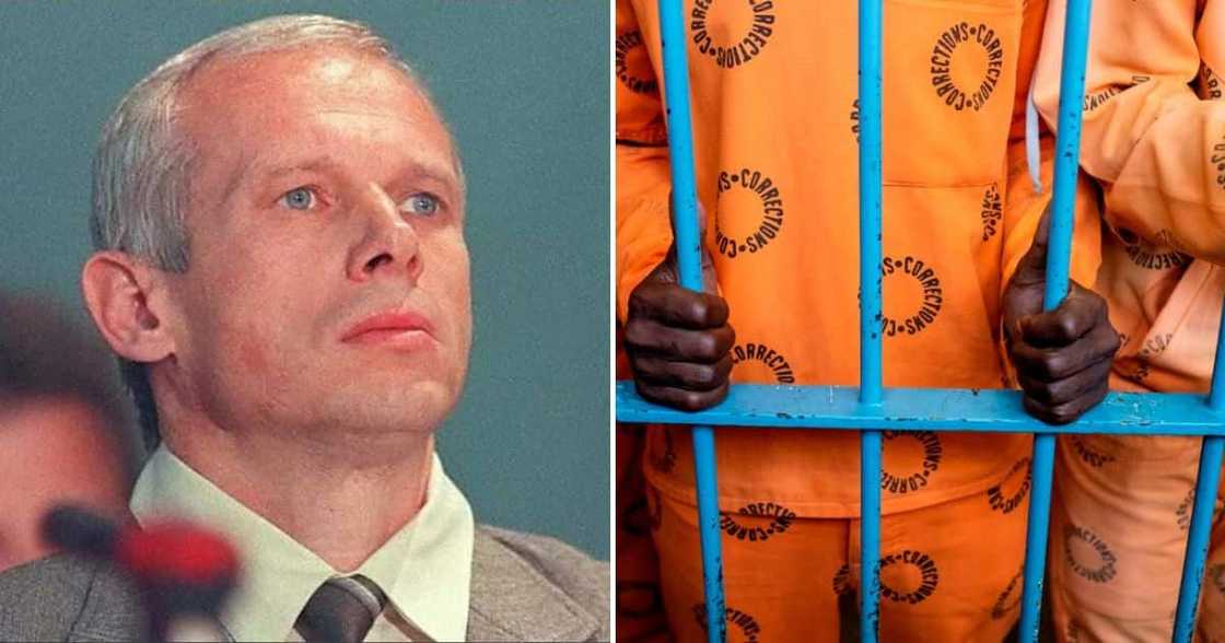 Janusz Walus Janusz Walus