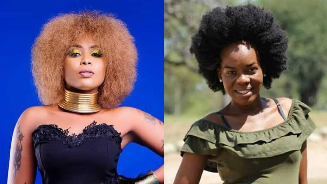natural hairstyles in Africa natural hairstyles in Africa