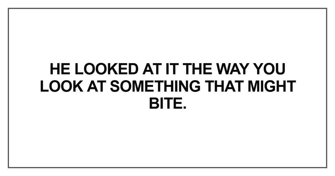 He looked at it the way you look at something that might bite