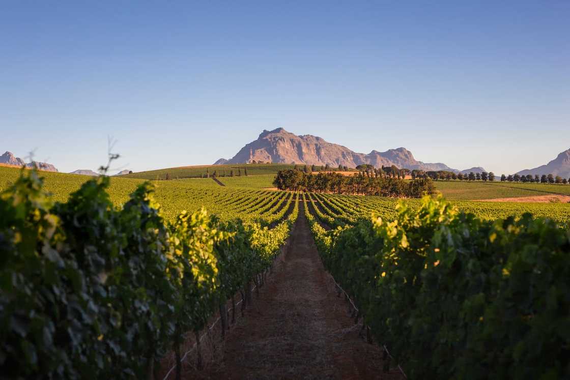 best place to invest in south africa best place to invest in south africa