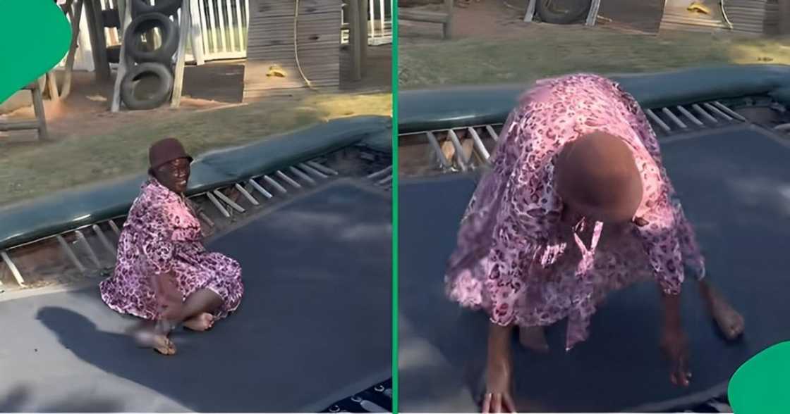 A gogo jumped on a trampoline A gogo jumped on a trampoline
