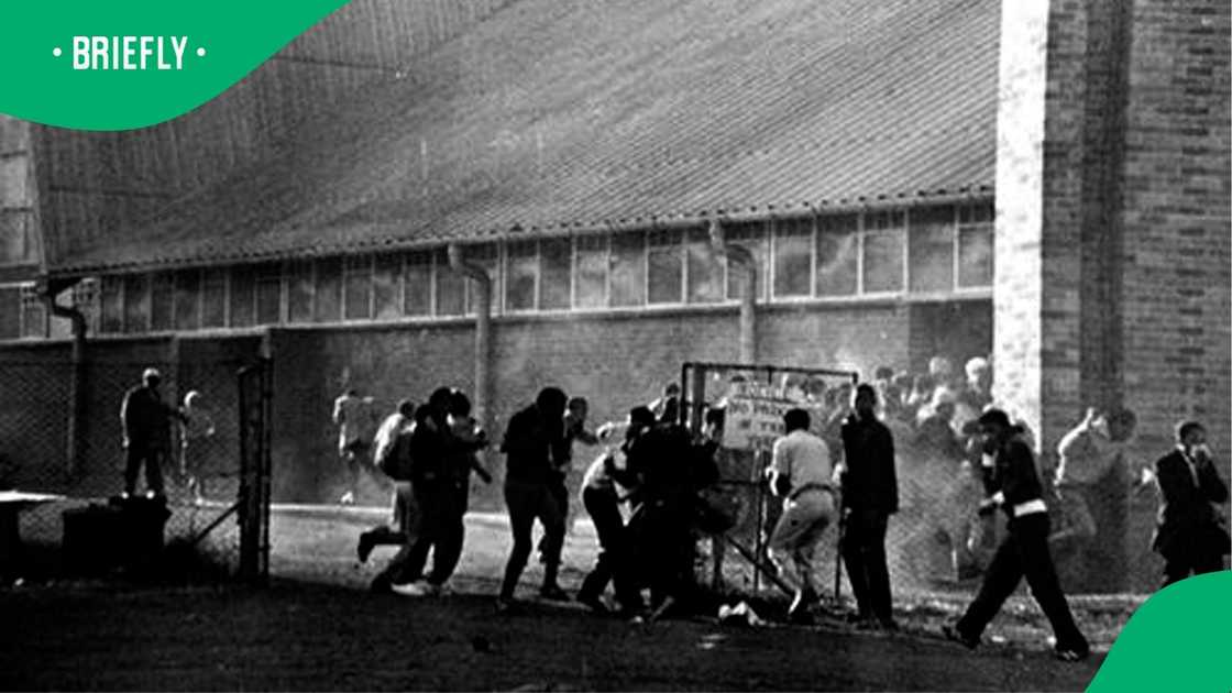 Protesting pupils in Soweto on June 16, 1976 Protesting pupils in Soweto on June 16, 1976