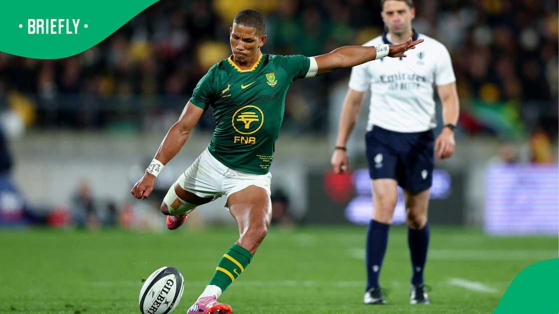 Springboks, Mannie Libbok, Rugby Championship Springboks, Mannie Libbok, Rugby Championship