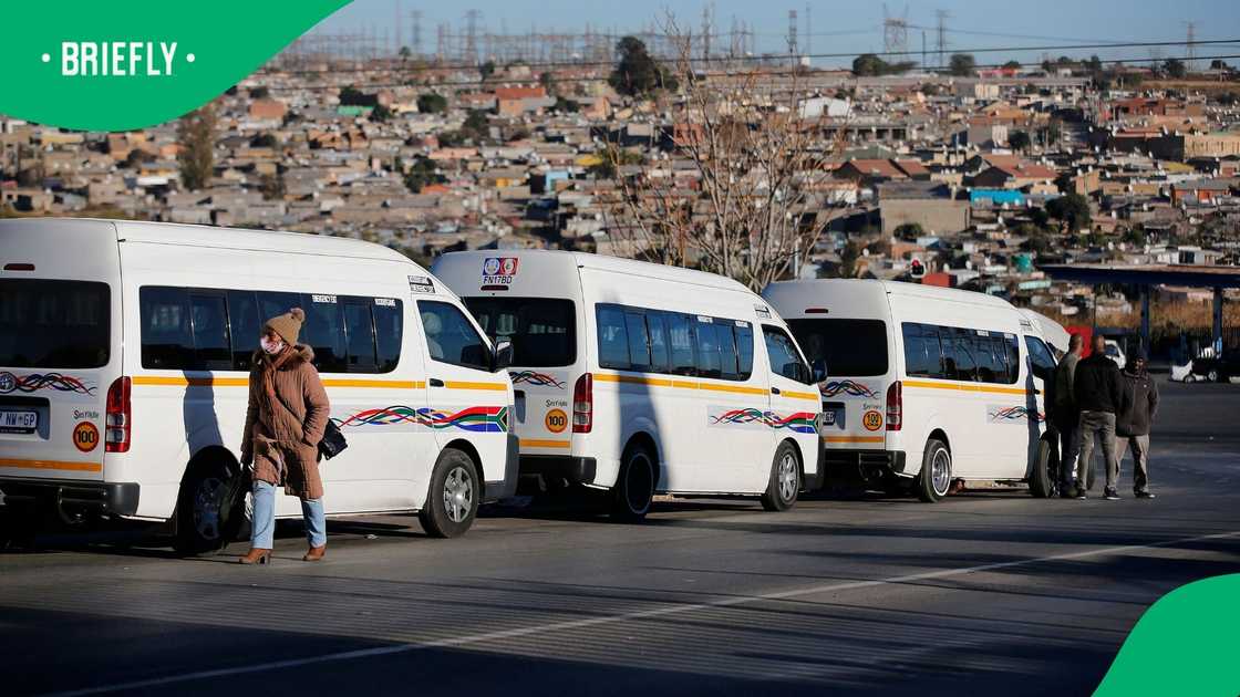 The Faraday Taxi Association has called on taxi owners to suspend their foreign national employees as anti-illegal immigration marches continue