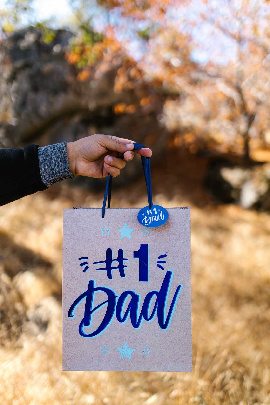 South Africans chimed in on Dineo Ranaka's parenting wisdom on Father's Day