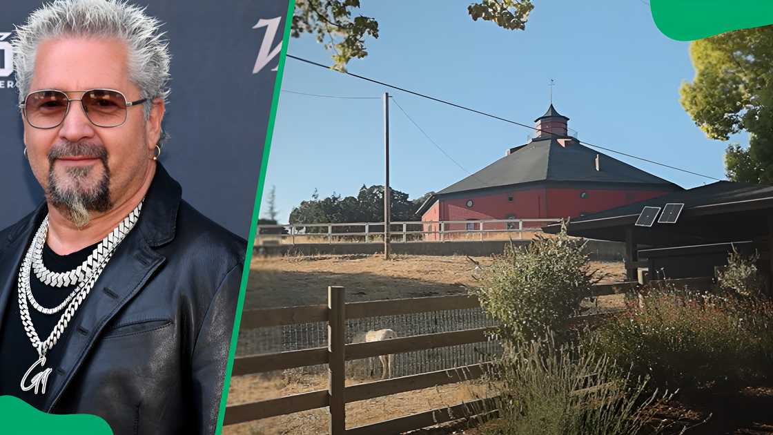 Guy Fieri's house Guy Fieri's house
