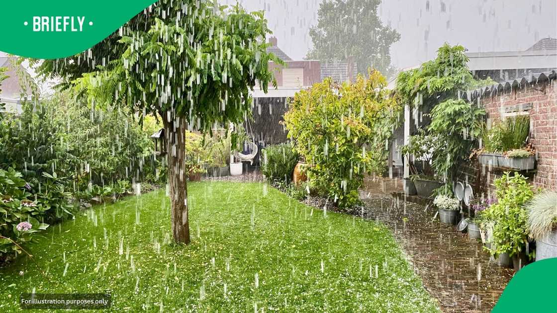 Severe weather alerts have been issued as heavy thunderstorms move across several inland provinces