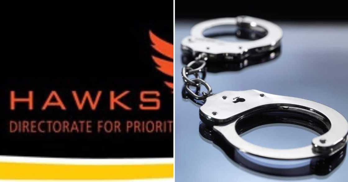 Hawks arrest a woman for fraud