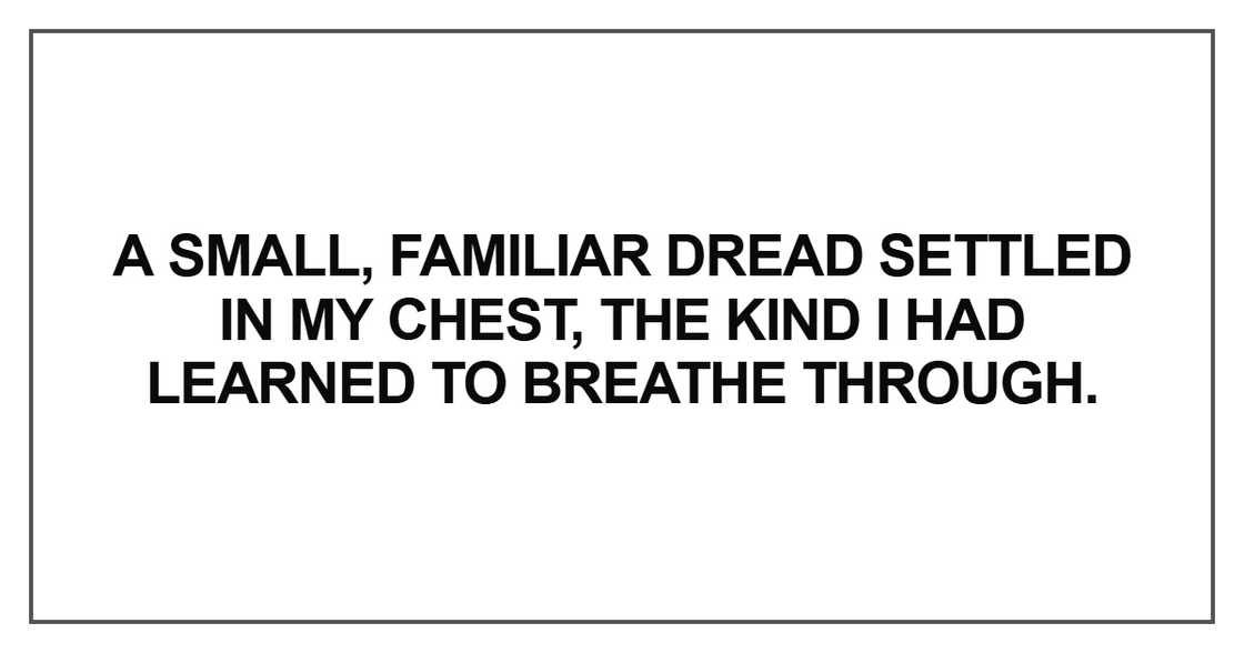 A small, familiar dread settled in my chest