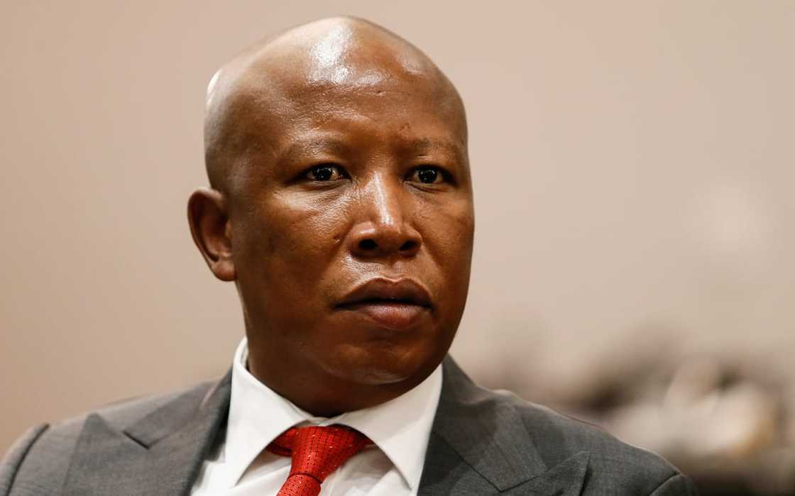 EFF leader Julius Malema during the interviews for South Africa's next Chief Justice