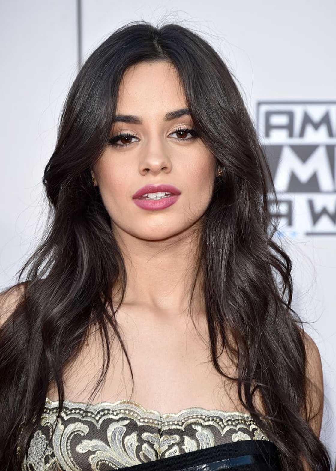 Camila Cabello's net worth, age, sister, husband, songs, profiles, movies Camila Cabello's net worth, age, sister, husband, songs, profiles, movies