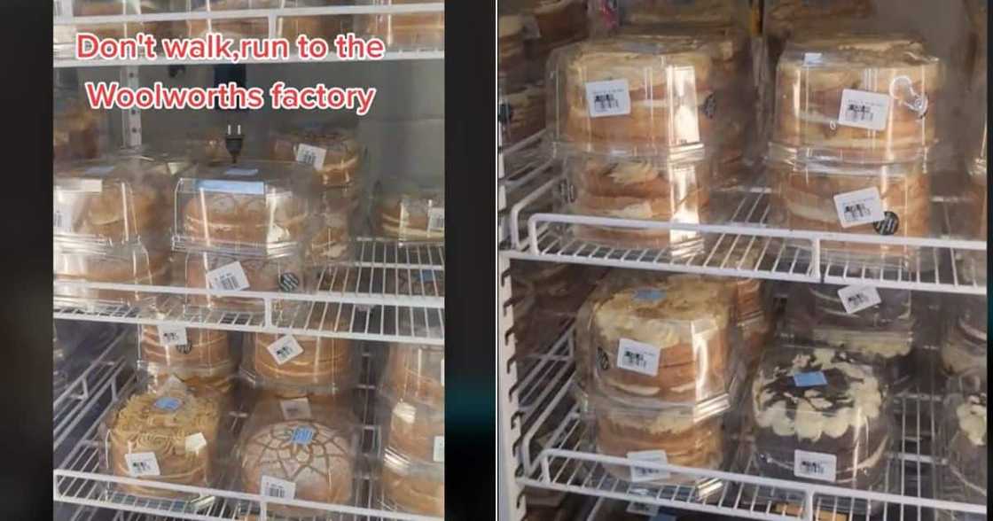 Woolworth's cake factory has cake lovers excited Woolworth's cake factory has cake lovers excited