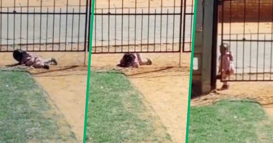 A young girl escaped to play outside A young girl escaped to play outside