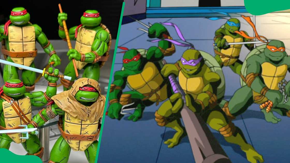 Teenage Mutant Ninja Turtles