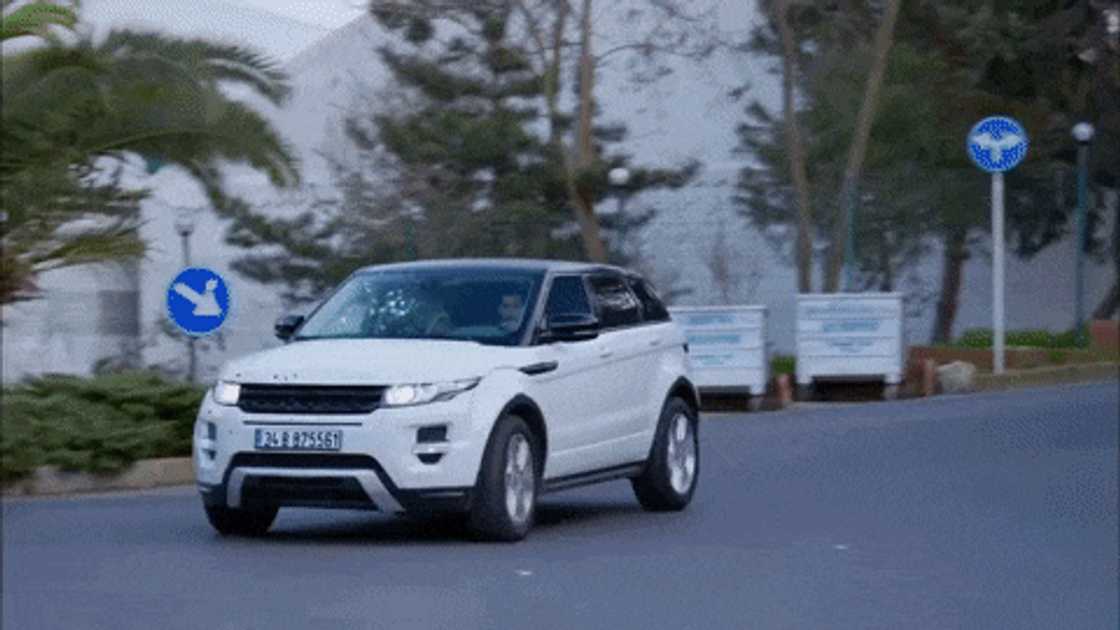 Voëlvry teasers Voëlvry teasers