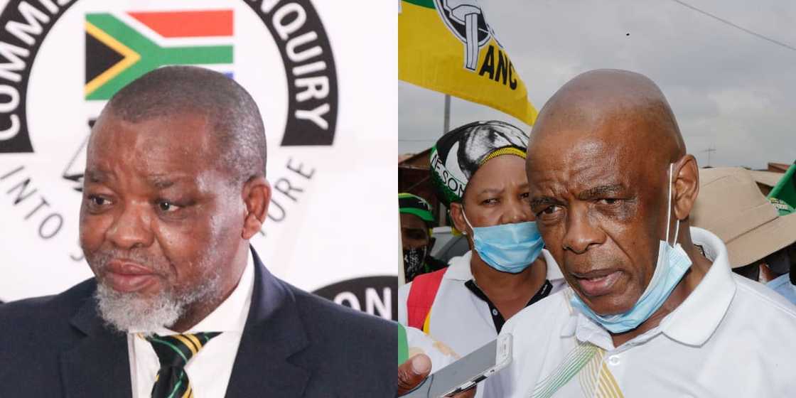 Gwede Mantashe and Zizi Kodwa Clap Back at Ace Ace Magashule: "He'll Do Anything to Save His Skin" Gwede Mantashe and Zizi Kodwa Clap Back at Ace Ace Magashule: "He'll Do Anything to Save His Skin"