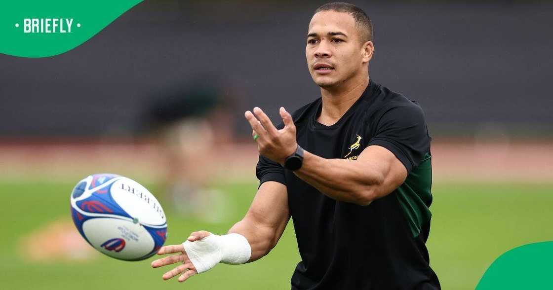 Springboks, Cheslin Kolbe, South Africa Springboks, Cheslin Kolbe, South Africa