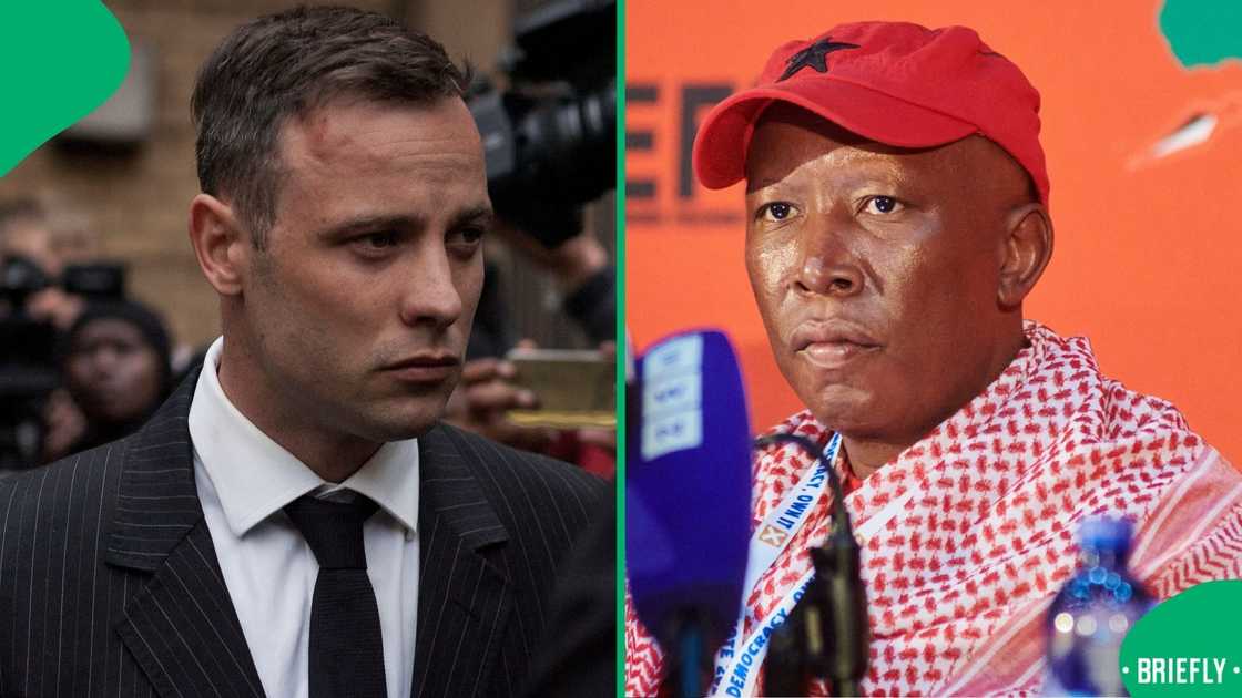 Mzansi reacted to Julius Malema's firearms case