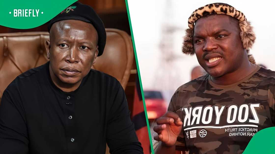 Ngizwe refuses to apolgise to Malema.