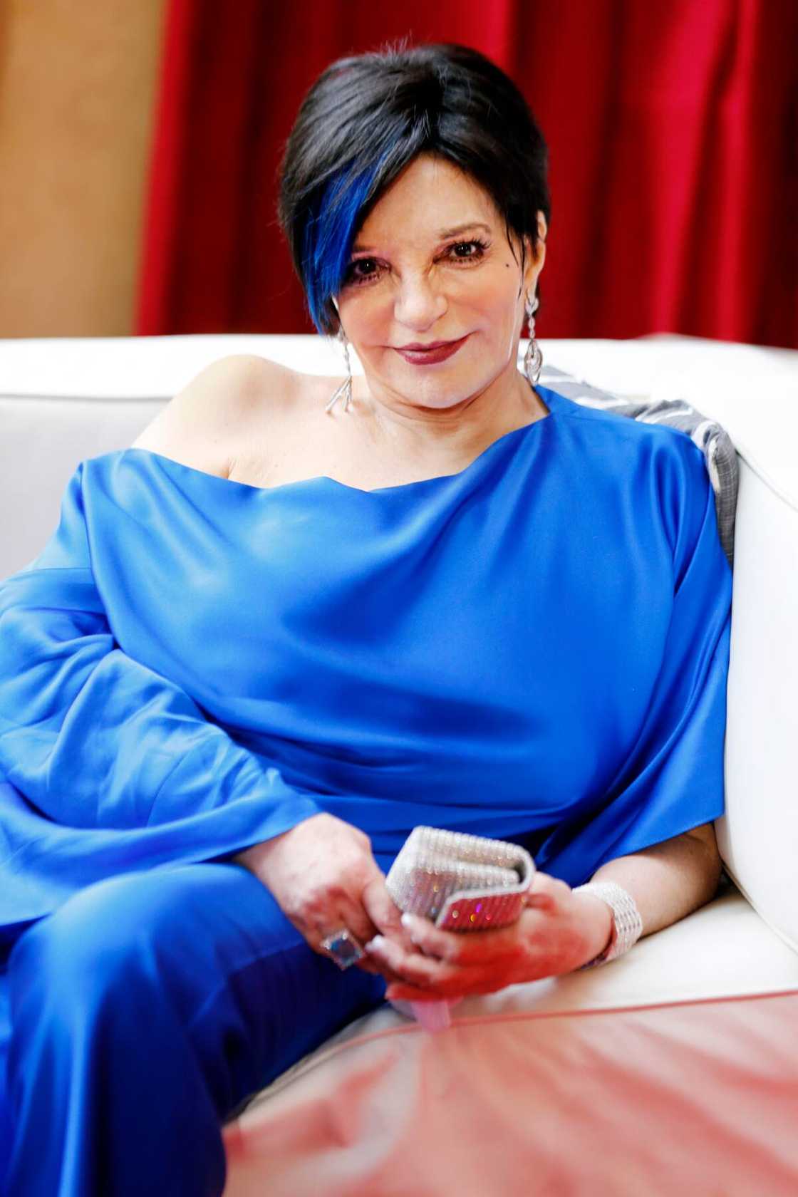 Liza Minnelli's awards Liza Minnelli's awards