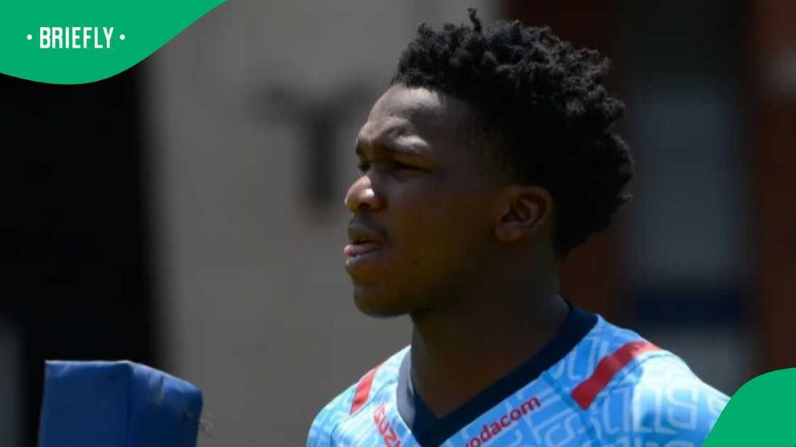 JT Kapank, Junior Springboks, Blue Bulls