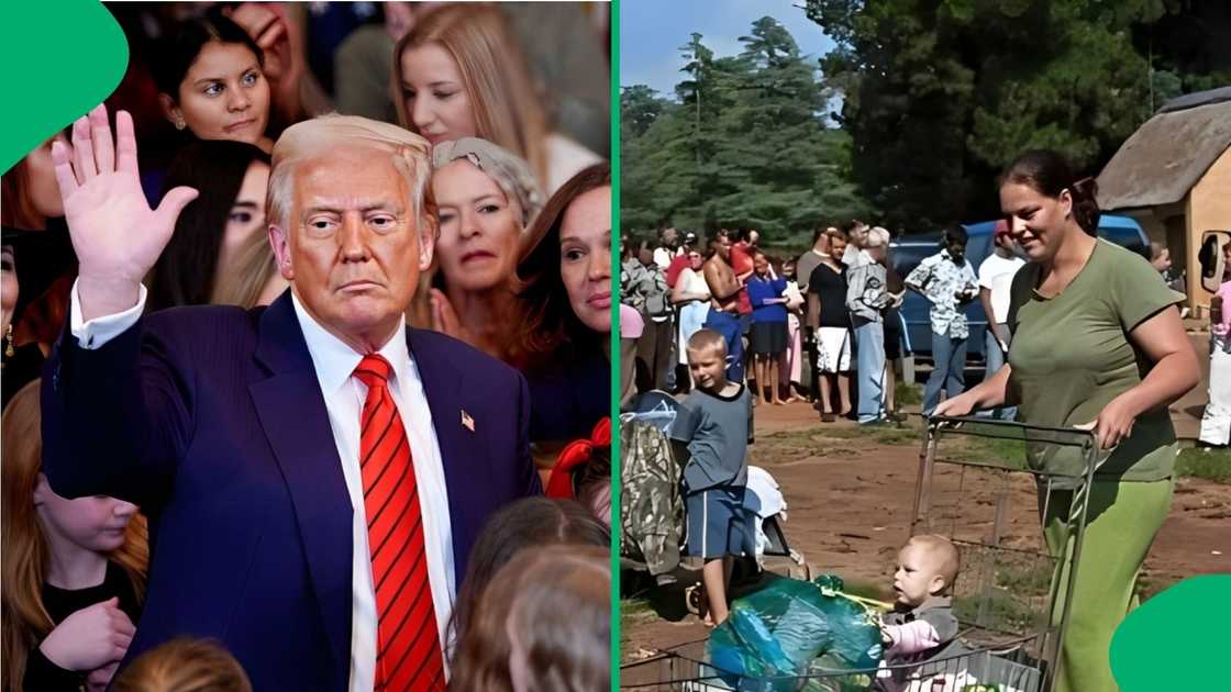 SA Chamber of Commerce email servers 'crash' as white Saffas inquire about resettlement SA Chamber of Commerce email servers 'crash' as white Saffas inquire about resettlement