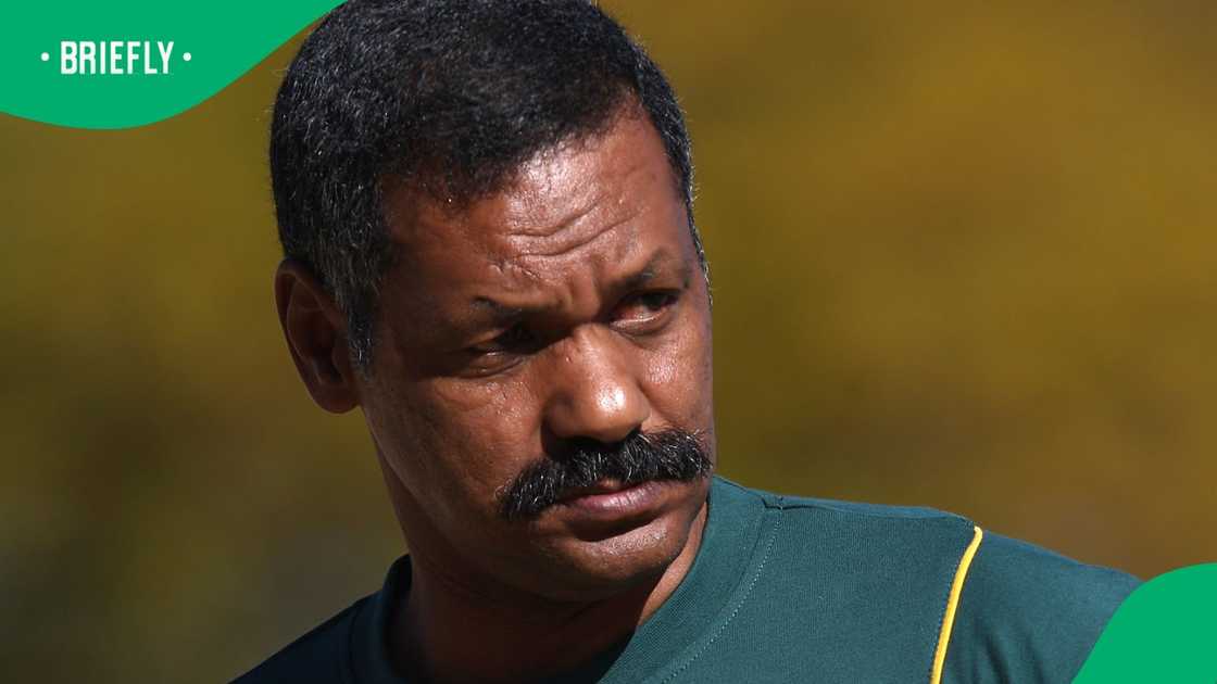 Springboks, South Africa, Peter de Villiers