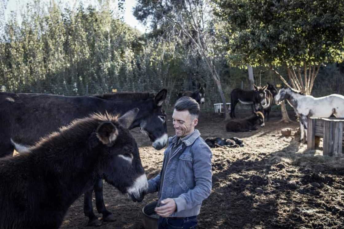 Donkey farmers like Christelis have limited options to protect their herd from thieves Donkey farmers like Christelis have limited options to protect their herd from thieves