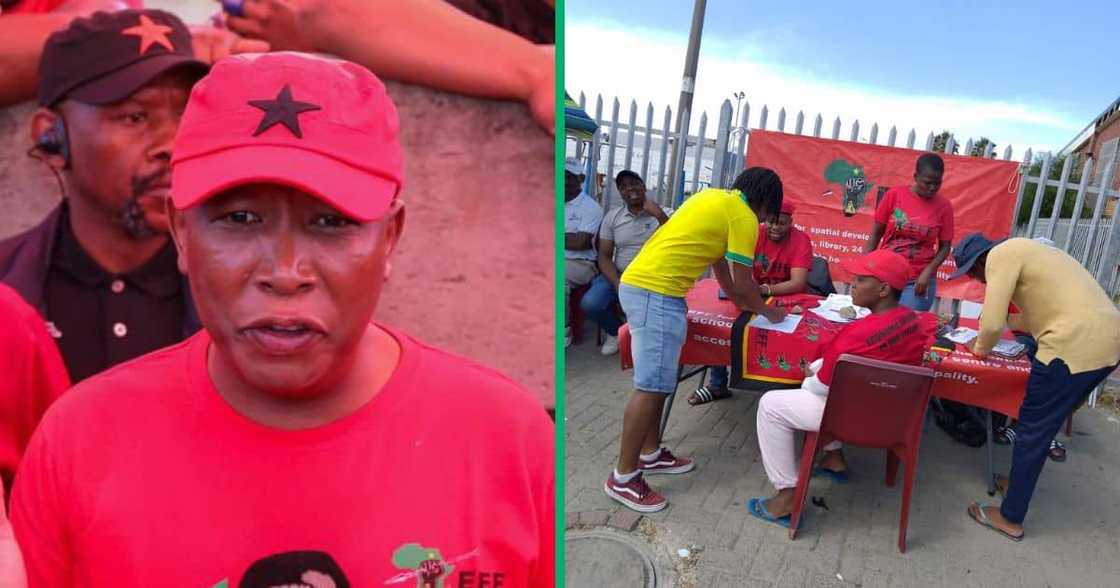 Economic Freedom Fighters leader Julius Malema Economic Freedom Fighters leader Julius Malema