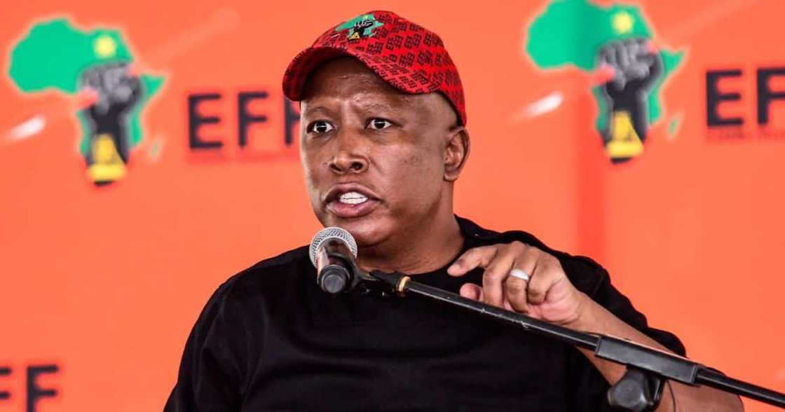 Julius Malema Julius Malema