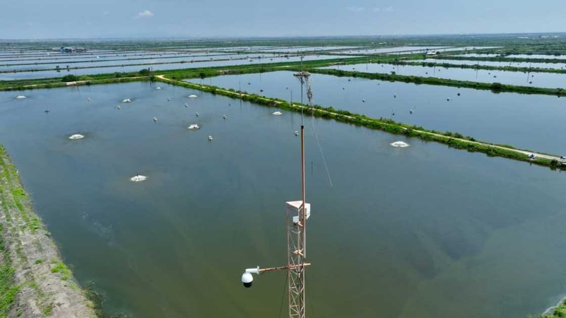 Ecuador is the world's largest shrimp producer, with revenue of $7.3 billion in 2022 Ecuador is the world's largest shrimp producer, with revenue of $7.3 billion in 2022