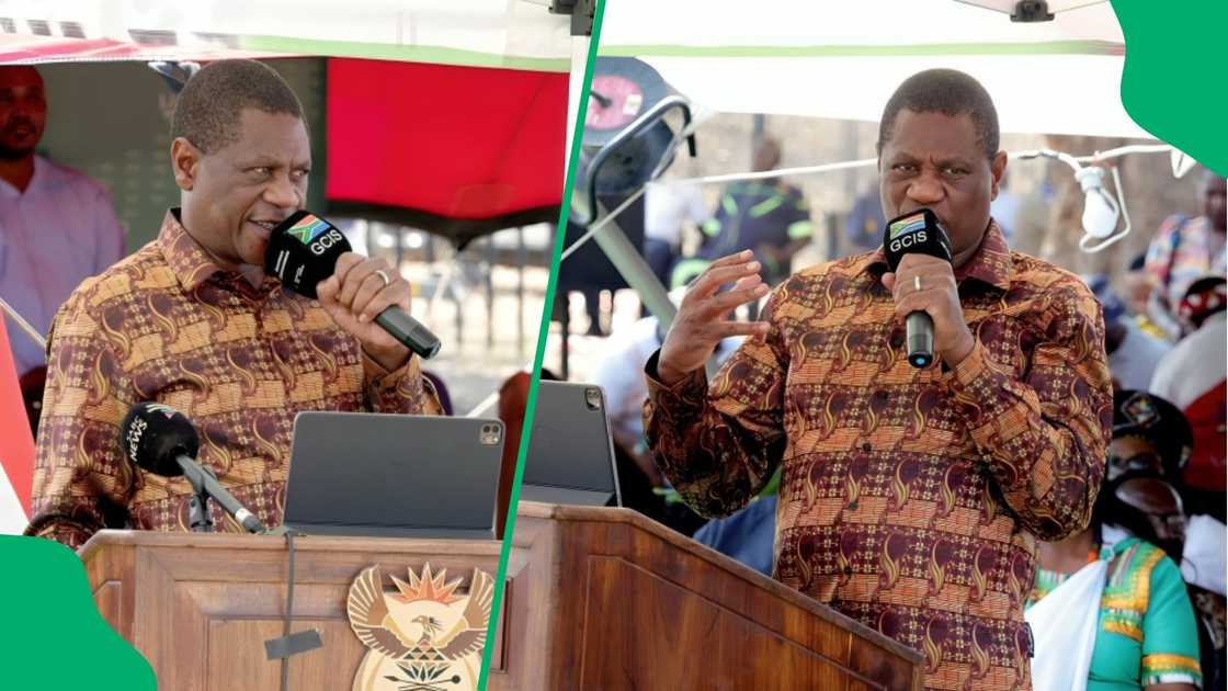 Deputy President Paul Mashatile skips NCOP and Gordhan's funeral